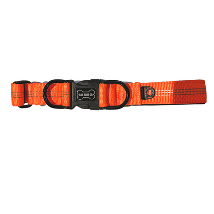 Collar Para Perro Color Naranja